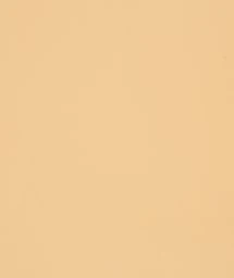 Swatch thumbnail for Chamois